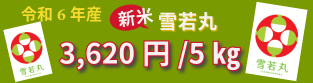 令和6年産雪若丸