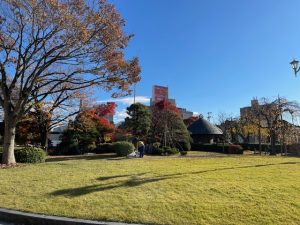 文翔館庭園～雪囲い～