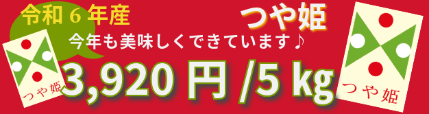 令和6年産 つや姫